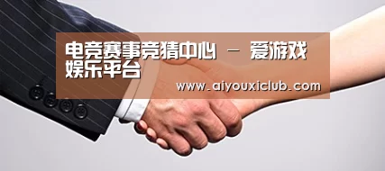关于爱游戏电竞
