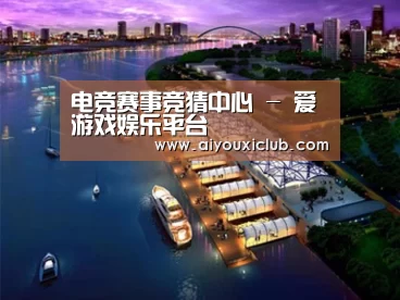 案例展示八