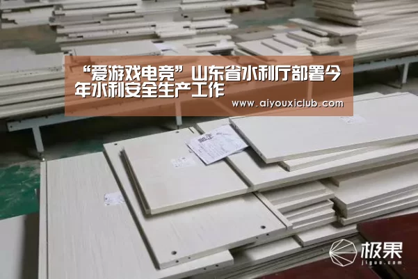 “爱游戏电竞”山东省水利厅部署今年水利安全生产工作(图2) 爱游戏电竞