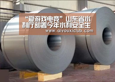 “爱游戏电竞”山东省水利厅部署今年水利安全生产工作(图3) 爱游戏直播