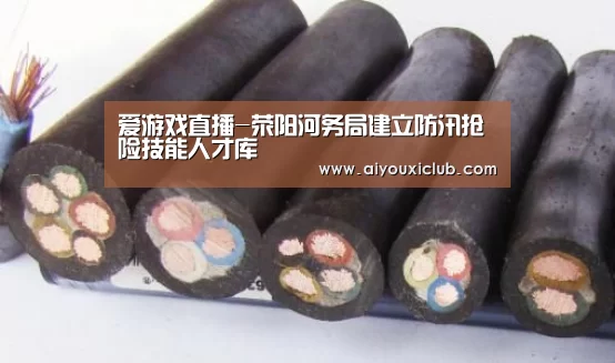 爱游戏直播