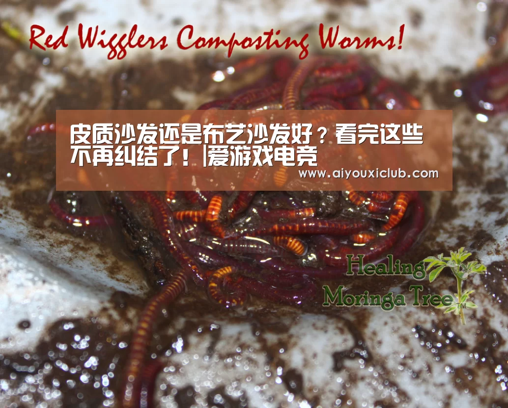 皮质沙发还是布艺沙发好?看完这些不再纠结了!|爱游戏电竞(图4) 爱游戏娱乐