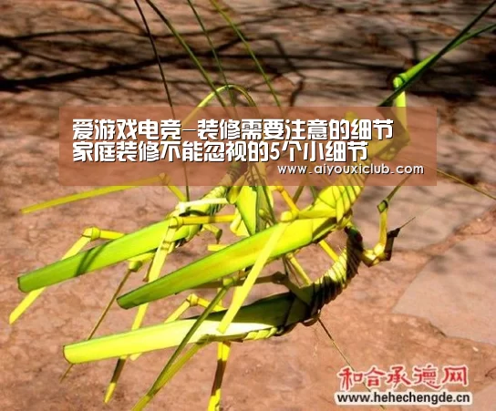 爱游戏电竞-装修需要注意的细节 家庭装修不能忽视的5个小细节(图4) 爱游戏电竞