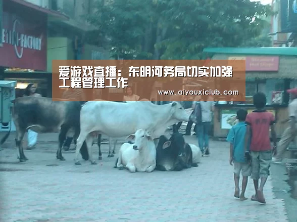 爱游戏直播:东明河务局切实加强工程管理工作(图1) 爱游戏娱乐